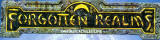 Special collection featuring the Forgotten Realms fantasy worlds